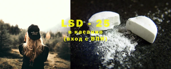 спайс Корсаков