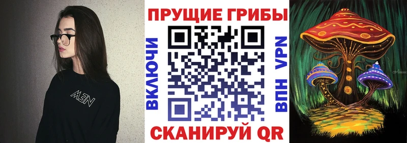 Галлюциногенные грибы Psilocybine cubensis  цены наркотик  гидра онион  Суворов 